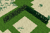 Hedges