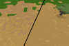 Grow Dry Grass
