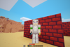 Offhand Items