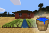 Wooden Bucket