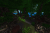 Swamp Biome