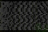LiBPoV Biome Exporter