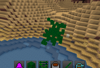 Kudzu