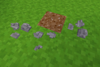 Loose Rocks