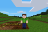 Soil Weeded
