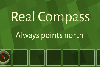 Real Compass