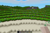 Wildflower Fields