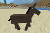 Mobs Andes