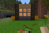 Pumpkin Pies