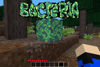 Bacteria