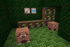 Pets