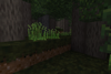 Extra Biomes