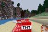 Throwable Bombs