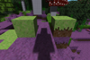 Ethereal Mosses