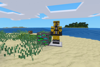 Hazmat Suit